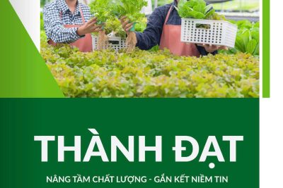 CÔNG TY TNHH ĐẦU TƯ DỊCH VỤ – THƯƠNG MẠI THÀNH ĐẠT luôn nêu cao tinh thần “NÂNG TẦM CHẤT LƯỢNG – GẮN KẾT NIỀM TIN”
